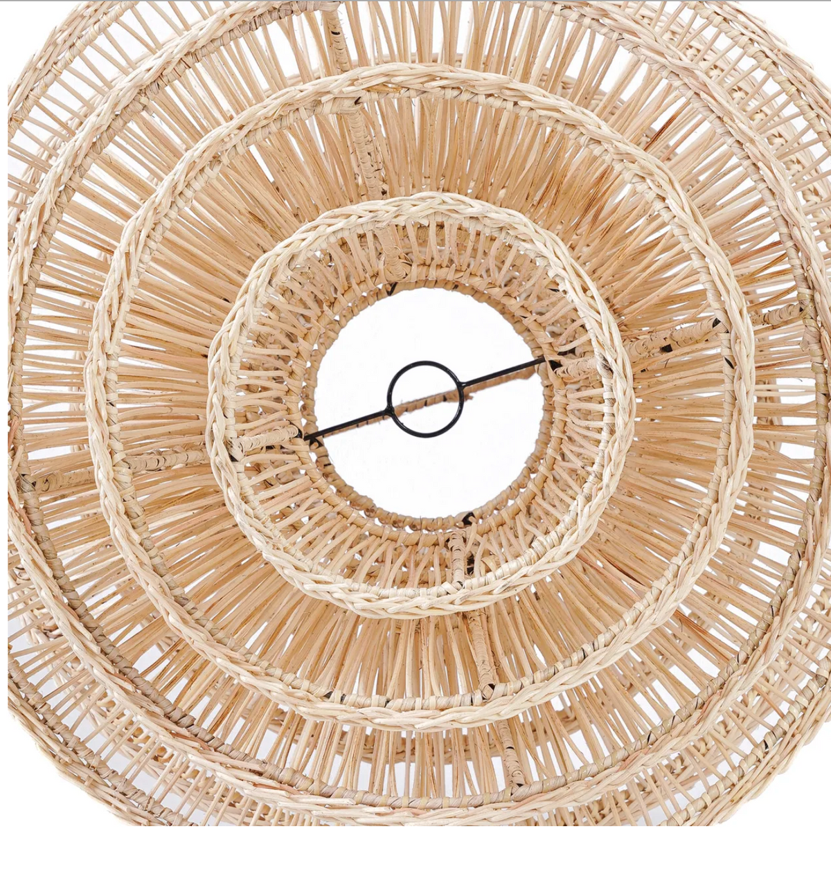 Shiitake Suspension